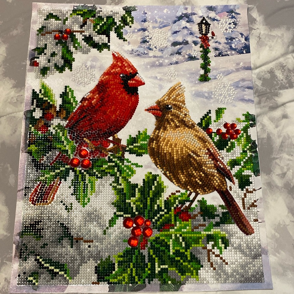 Completed Diamond Art Snowy Birds picture (11 in x 14 in)